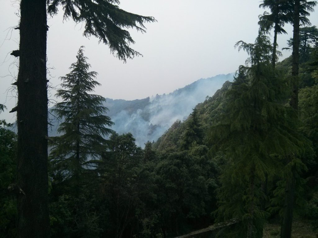 Metsäpalo kävi hyvinkin lähellä. Osa paloista oli hallittuja, joiden tarkoitus oli estää hallitsemattomia paloja leviämästä.